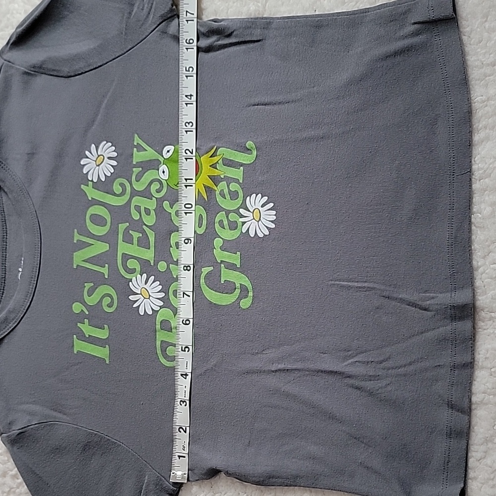 Disney The Muppets M Gray Tee with Kermit Graphic - Picture 7 of 8